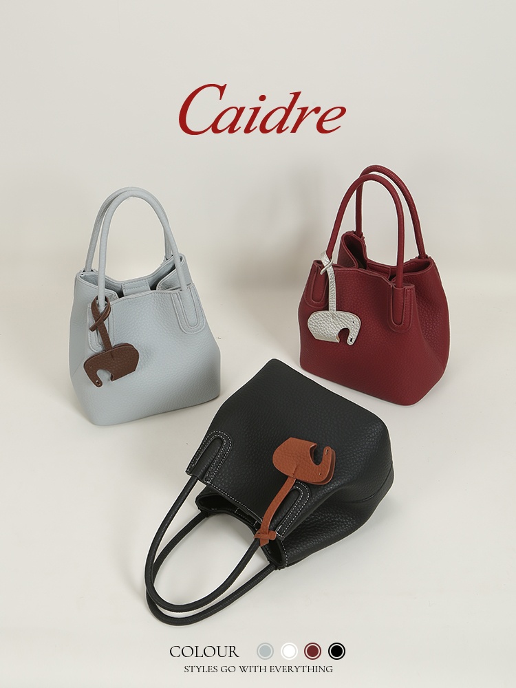 Caidre Luxury Tote Bag 2026 Ne - огляд і ціна Luxury Bags Japan